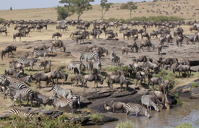 Crocodil Camp - Masai Mara