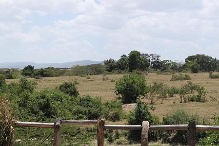 Crocodil Camp - Masai Mara