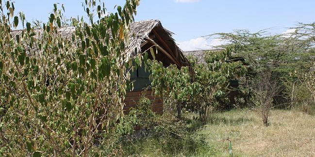 Crocodil Camp - Masai Mara