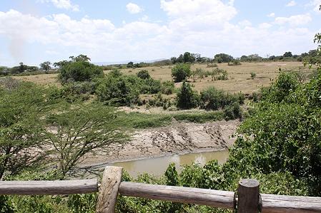 Crocodil Camp - Masai Mara