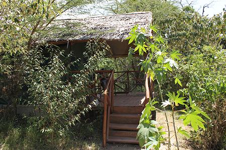 Crocodil Camp - Masai Mara