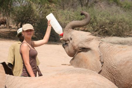 Ithumba Camp - David Sheldrick Wildlife Trust