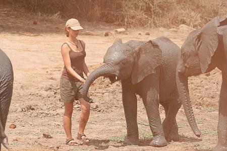 Ithumba Camp - David Sheldrick Wildlife Trust