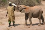 Ithumba Camp - David Sheldrick Wildlife Trust