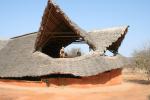 Ithumba Camp - David Sheldrick Wildlife Trust