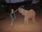 Ithumba Camp - David Sheldrick Wildlife Trust