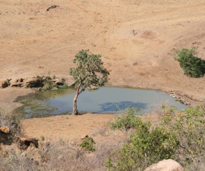 Ngulia Camp - Rhino Valley Lodge