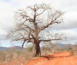 Ngulia Camp - Rhino Valley Lodge