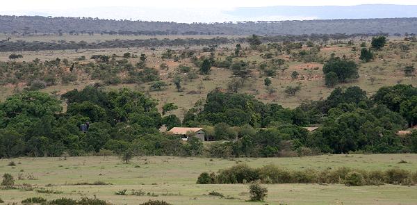 Olumara Camp, Masai Mara