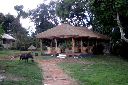 Olumara Camp, Masai Mara