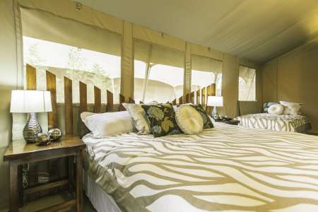 Wildebeest Camp Nairobi